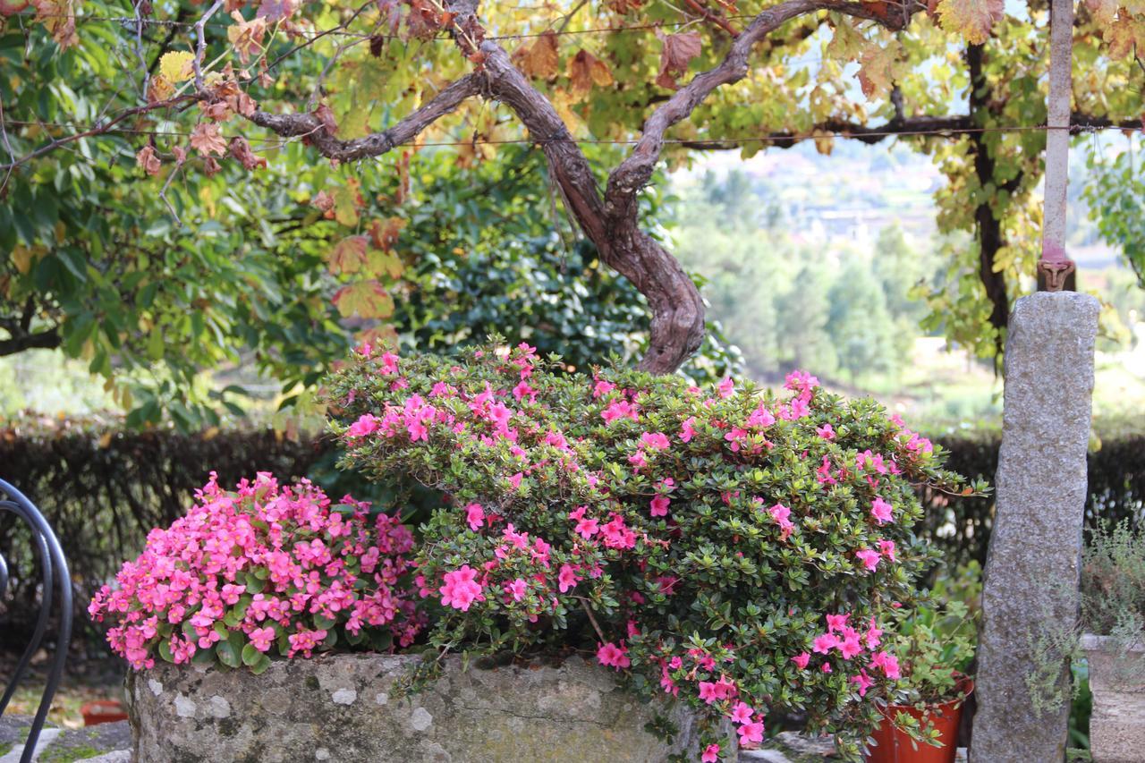 Quinta De Canhoes São Pedro do Sul Exteriör bild